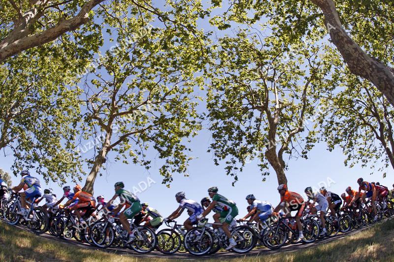 Peloton004p.jpg